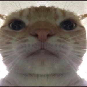 Meet your Posher, Jacob